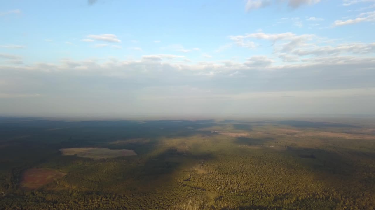 vista aérea del paisaje forestal