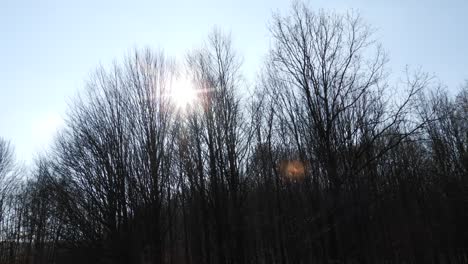 Walking-on-a-forest-road-with-the-sun-up-in-the-sky-and-the-sunlight-getting-through-the-tree-branches-on-early-spring-season