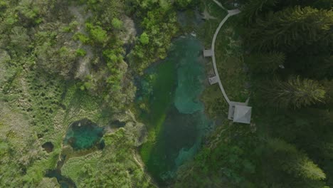 a gentle flyover shot of a crystal clear pond in kranjska gora, slovenia in the morning