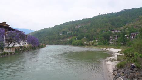 Die-Violetten-Blüten-Der-Jacaranda-Bäume-Mit-Blick-Auf-Den-Fluss-Pho-Chu-Mo-Chu-In-Punakha,-Bhutan