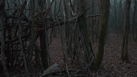 structure found in the middle of the woods made of fallen tree branches