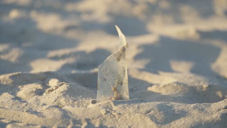 plastic stuck in the sand on a beach