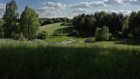 "tall grass symphony captivating low-level flight over meadow