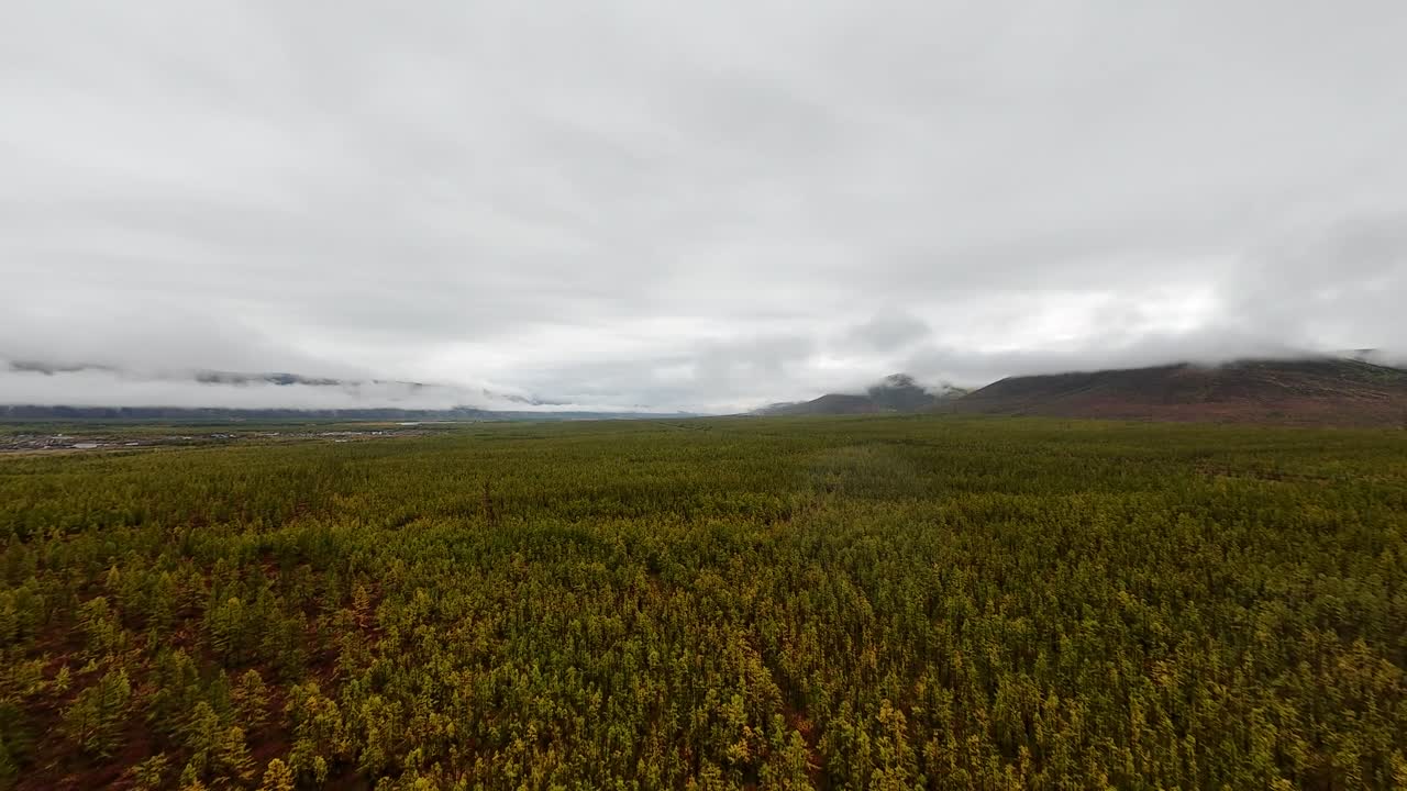 experimente la fascinante belleza de yakutia mientras un avión no tripulado se desliza sobre bosques interminables, capturando la exuberante vegetación y las impresionantes vistas de las montañas bajo un cielo dramático.