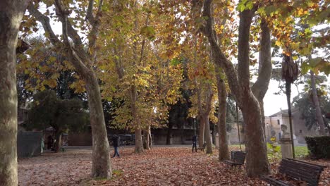 Walking-on-a-path-under-trees-with-yellow-leaves-in-Villa-Borghese-gardens,-a-huge-urban-park-located-in-central-Rome,-capital-of-Italy