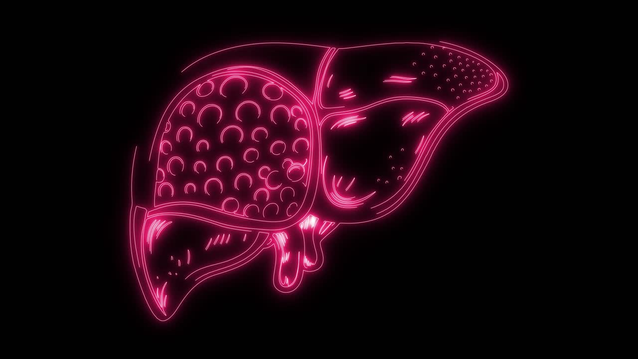 Animated Pink Neon Outline of Human Liver