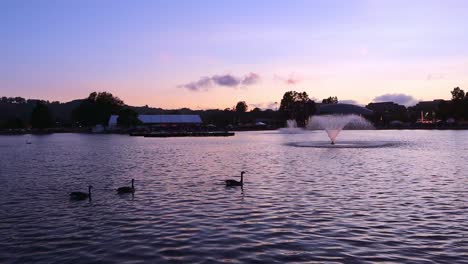 gorgeous sunset at the county fair