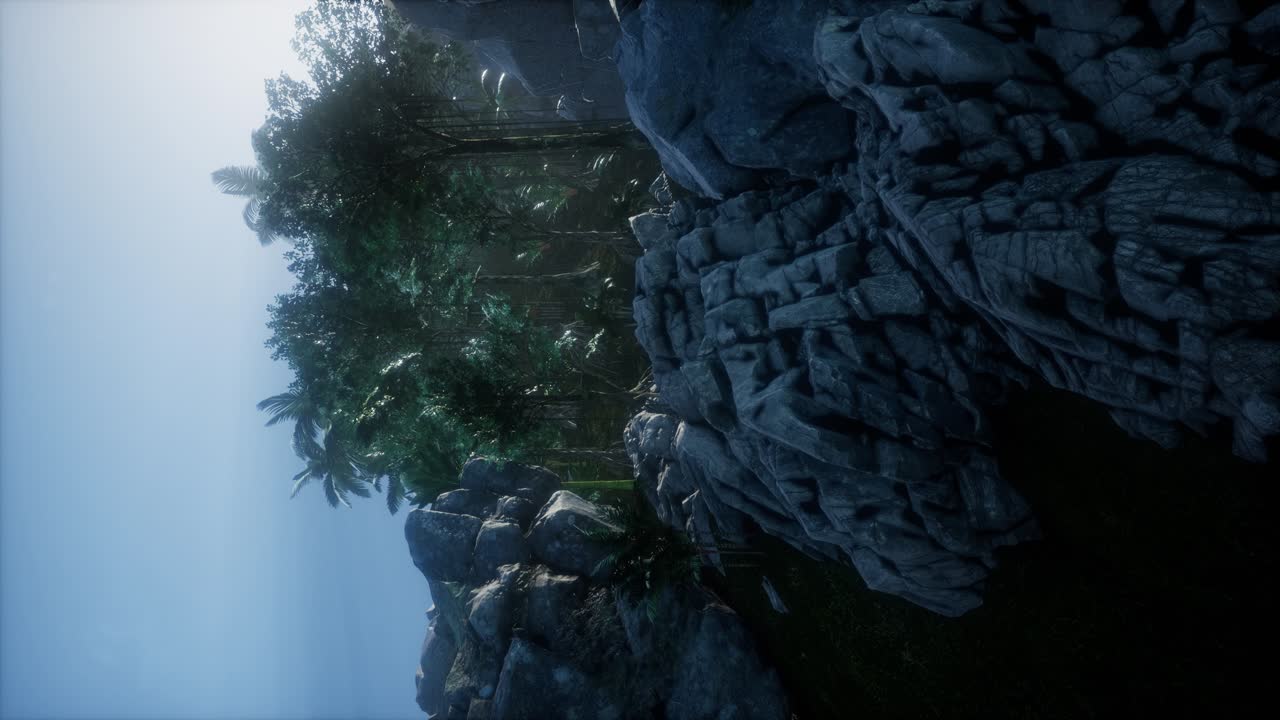 los rayos del atardecer a través de las palmeras