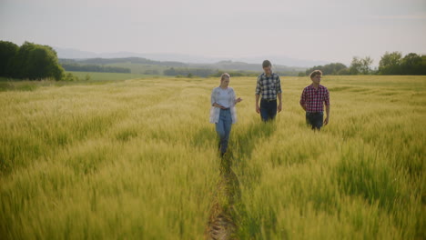 agricultores que inspeccionan el campo de trigo