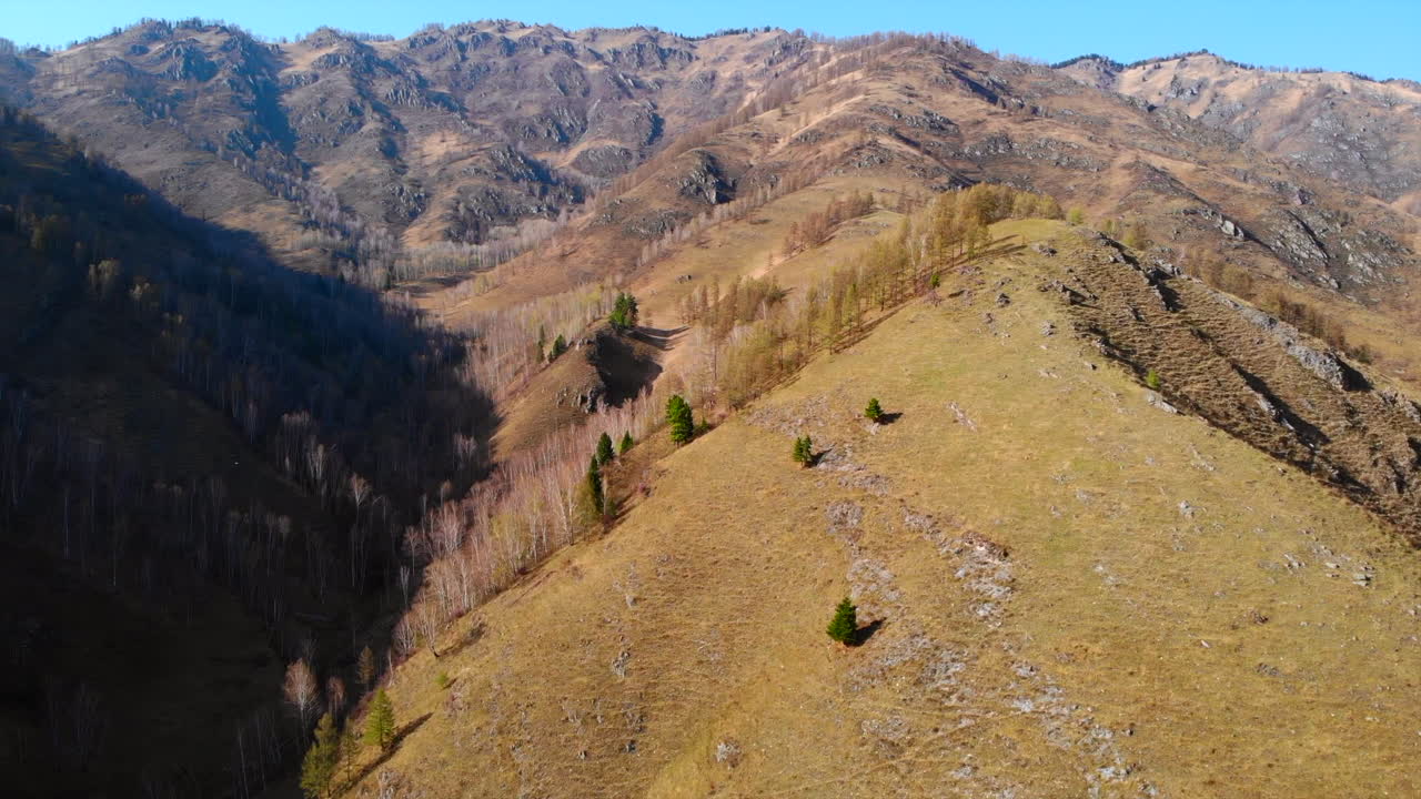 Vast Mountain Landscape with Forested Valley and Grassy Slopes