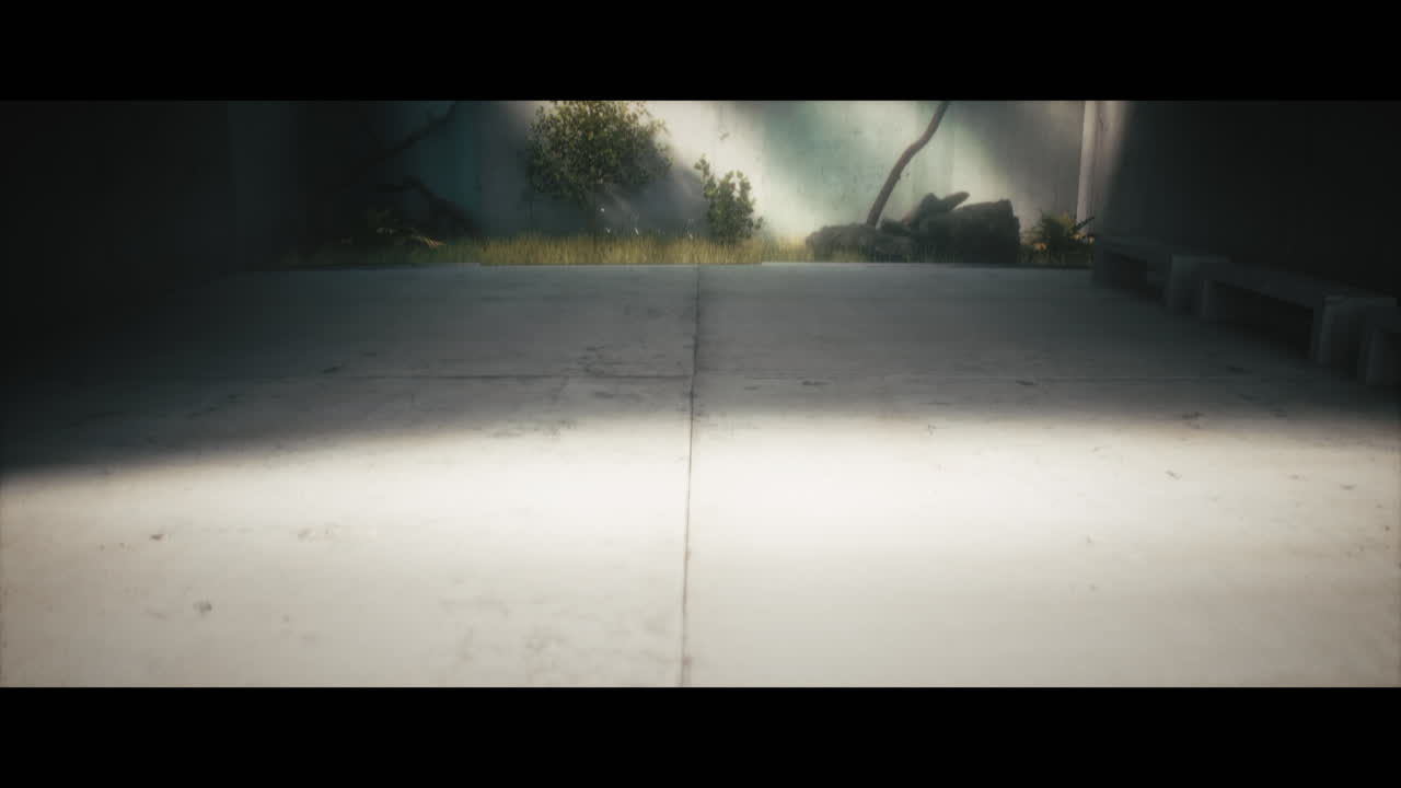 Empty Concrete Room with Sunlight and Plants