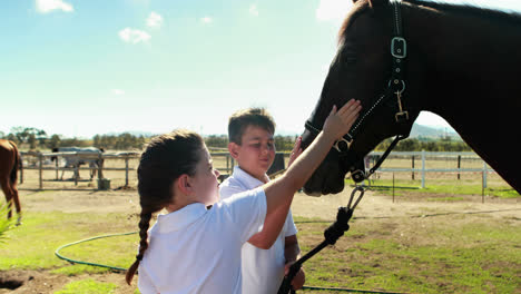 Siblings-caressing-the-horse-in-the-ranch-4k