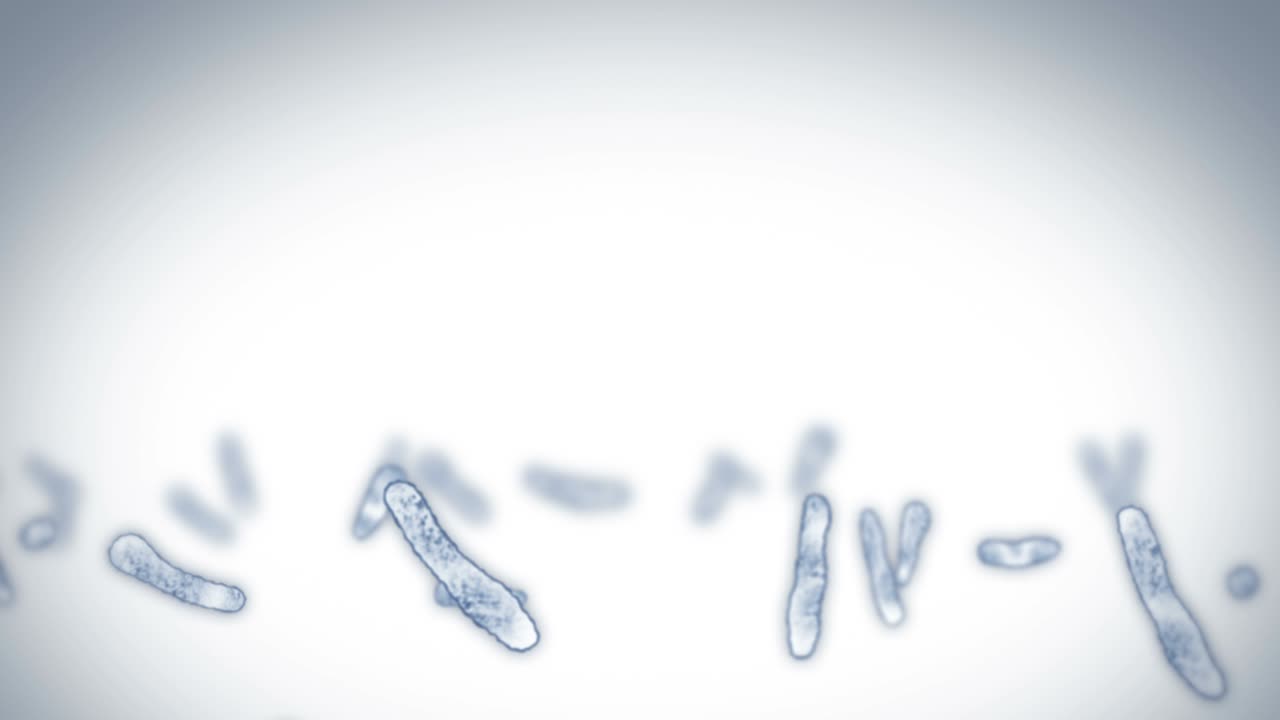 virus de célula en forma lineal. virus patógenos que causan infección. animación en bucle de virus humanos. microorganismo bacteriano. brote de enfermedad viral.