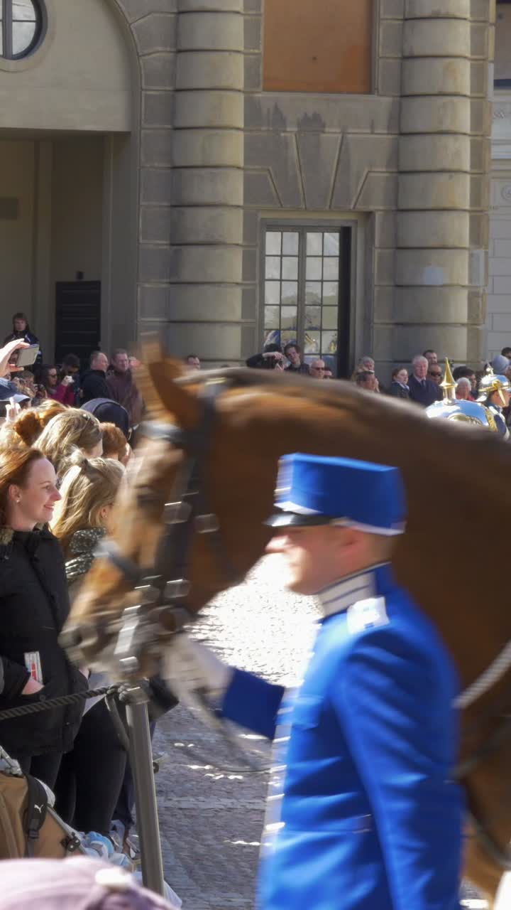 Military Parade with Horses and Guards