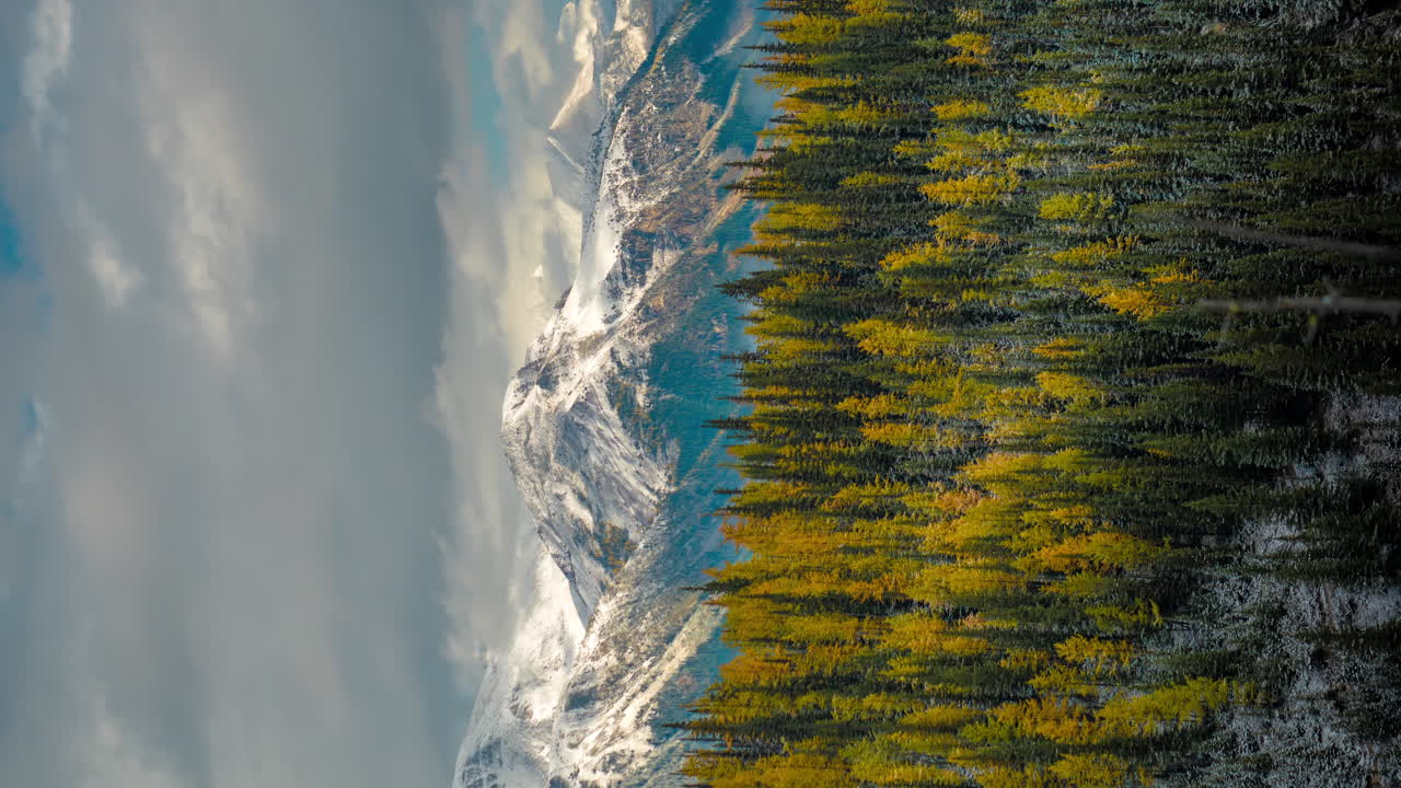 lapso de tiempo vertical de 4k, paisaje colorido en otoño, bosque de alerces y coníferas bajo picos nevados y nubes
