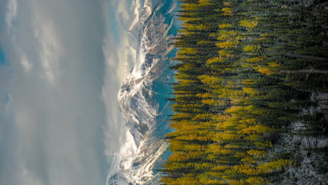 vertical 4k time lapse, colorful landscape at autumn, larch and conifer forest under snow capped peaks and clouds