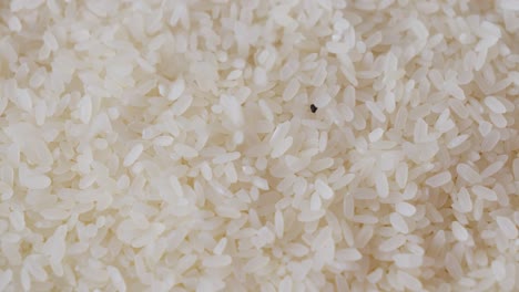 clean grains of polished white rice fall close up shot with black pebble spotted