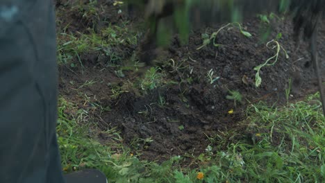 Entfernen-Von-Grasnarben-Aus-Dem-Garten-Mit-Schaufel