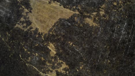 gran altitud ver una tierra en el pantanal brasileño carbonizado y marcado por los incendios de deforestación