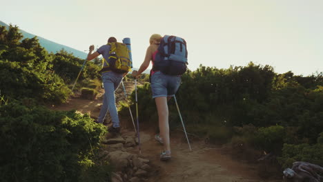 a female tourist with a backpack with trekking sticks goes up the mountain path in the rays of the s