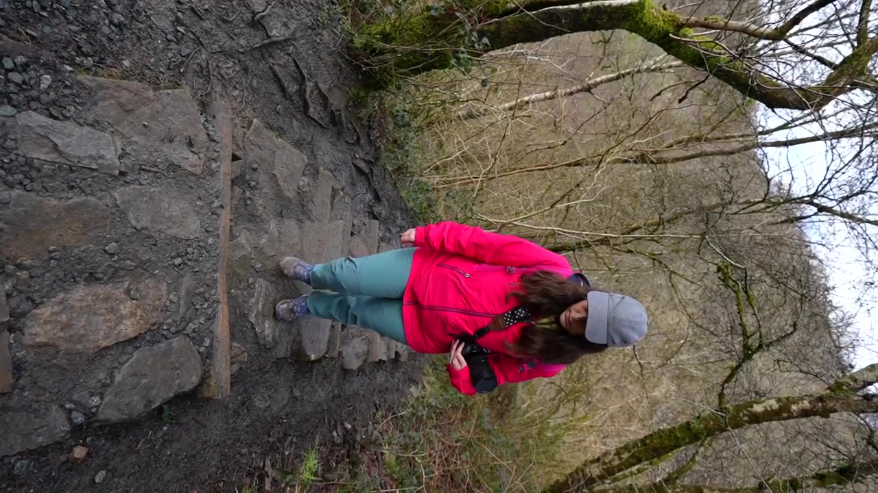 Donna che sale scale di pietra durante un'escursione sul Sentiero delle Quattro Cascate, Galles. Verticale