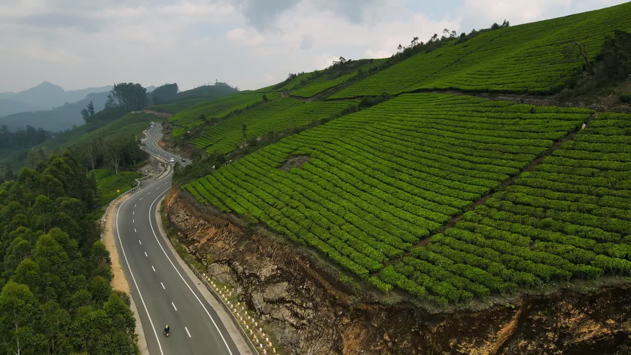 Ripresa aerea con drone del sereno paesaggio di Munnar con vaste tenute di tè.