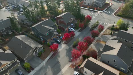 drone view of a neighborhood entrance during autumn with red leaves on the trees