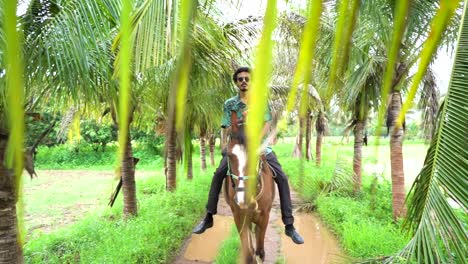 young handsome man with brown horse