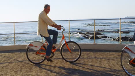 senior couple riding bicycle at promenade 4k