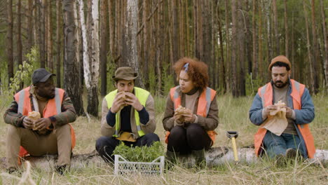 Vorderansicht-Einer-Gruppe-Multiethnischer-Ökologen,-Die-In-Einer-Pause-Auf-Einem-Baumstamm-Im-Wald-Essen-Und-Reden