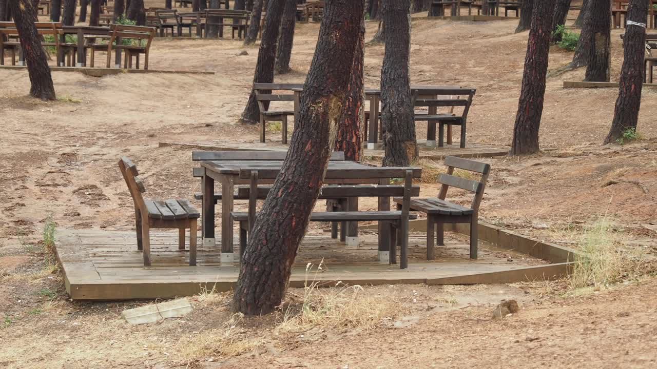 mesas de picnic en un bosque