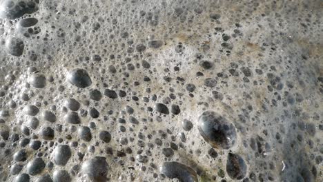 primer plano de espuma flotando en la superficie del agua
