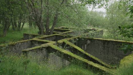 Static-shot-of-overgrown-ruin-at-coastal-battery-site