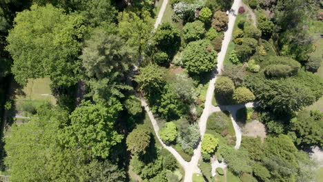 antena de arriba hacia abajo de caminos a través de un hermoso parque verde