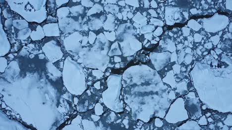 ice pieces floating in sea water on winter day