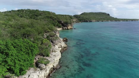 Drone-Volando-Sobre-La-Línea-De-La-Costa-Con-Cactus-Y-Plantas-Con-Agua-Clara-Del-Océano-Caribe