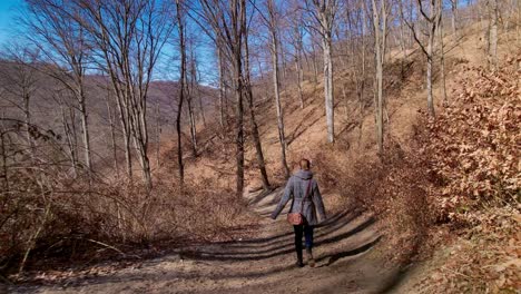 tiro largo de gran angular de una mujer caminando por el sendero del bosque, de mano