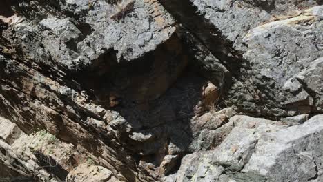 rocks with water reflections. static view