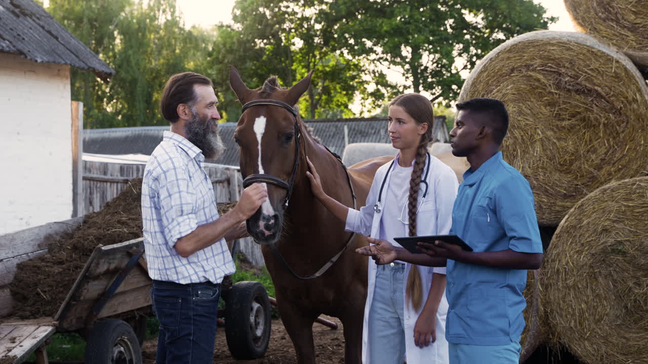 농장에서 이야기하는 사람들