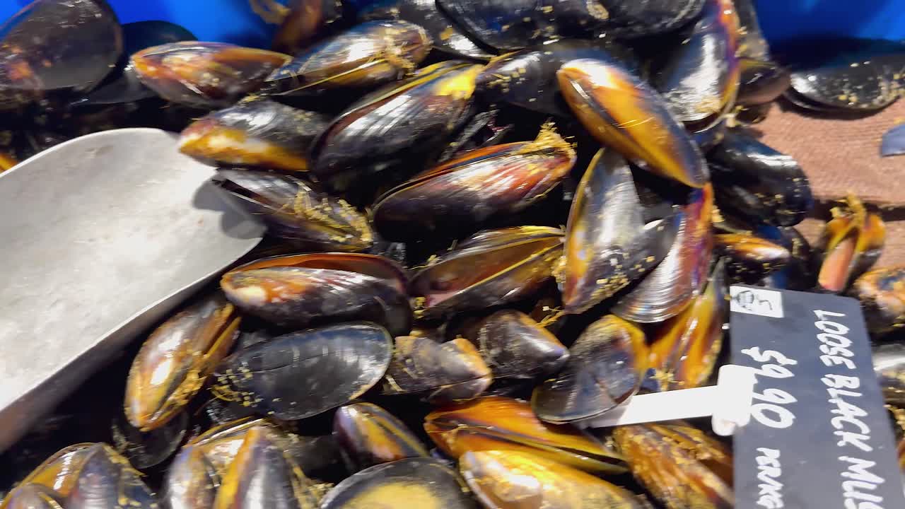 mejillones exhibidos con cuchara en el mercado de mariscos