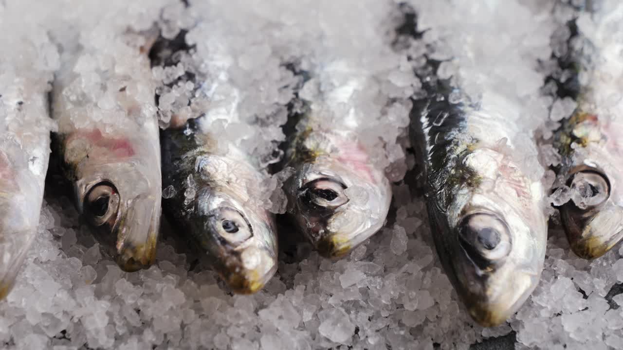 anchoas frescas en hielo