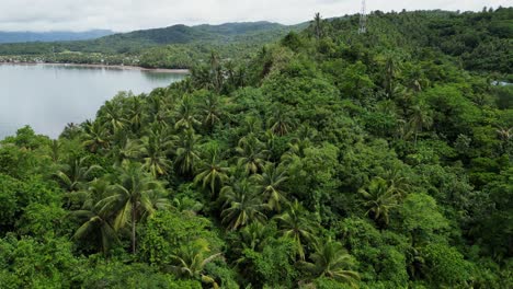 Idyllic-flyover-shot-of-lush-island-jungle-with-sea-bay-and-mountains-in-the-background