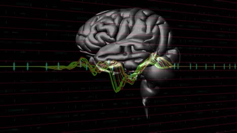 animación de gráficos sobre el cerebro giratorio sobre fondo negro