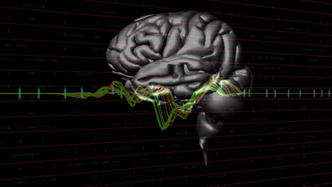 animation of graphs over rotating brain on black background