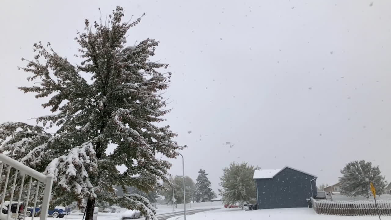 Slow motion panning footage of a light snowfall with a small tree in a neighborhood