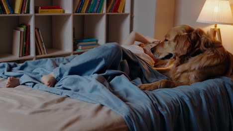 boy and golden retriever dog sleeping and playing together in bed