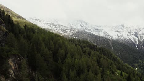 snow-capped alps with evergreen forest