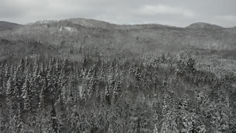 beautiful winter landscape-4