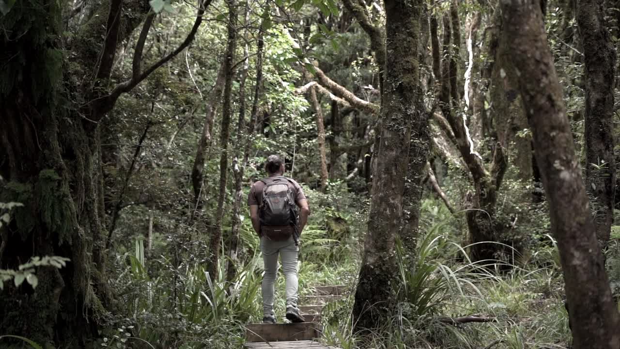 A man hiking through a dense forest