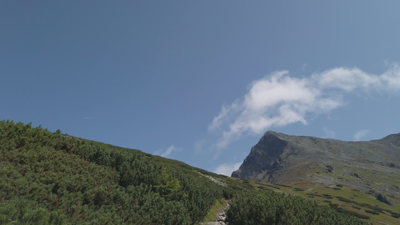 hermosa vista de imágenes desde la ruta de senderismo hasta krivan en eslovaquia con bosque verde y cielo azul claro - tiro rodante
